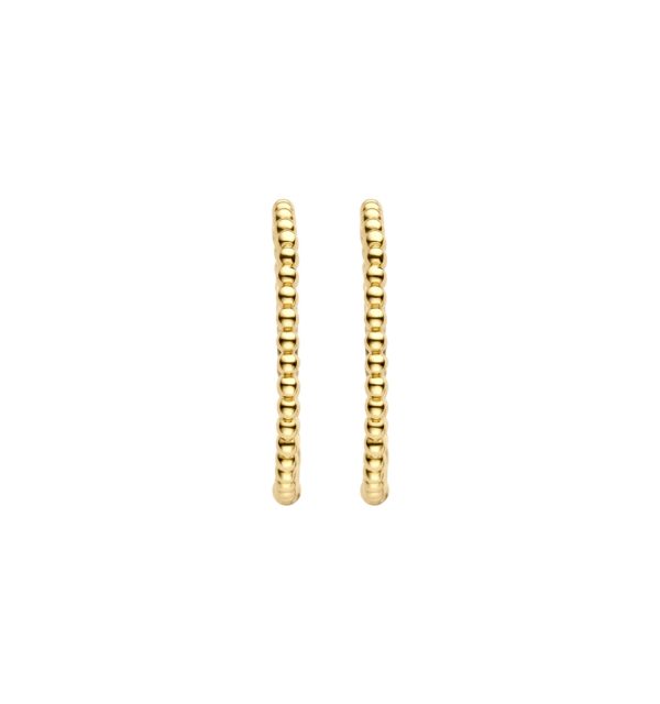 Creolen in Gelbgold 585/000